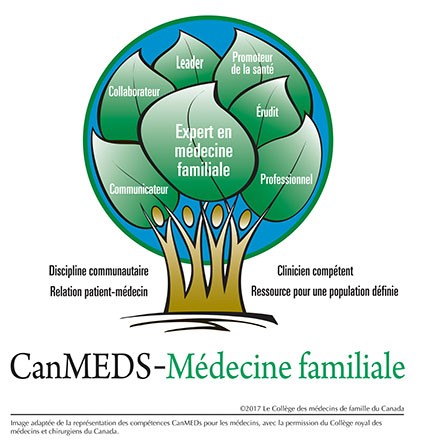 Arbre CanMEDS-MF