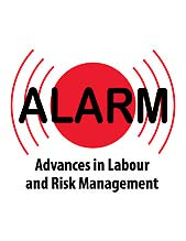 ALARM - Advances in Labour and Risk Management logo