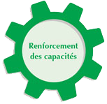 Cog with Renforcement des capacités