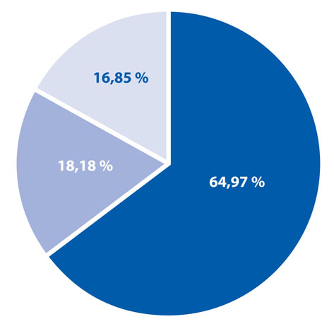 Revenues pie graph