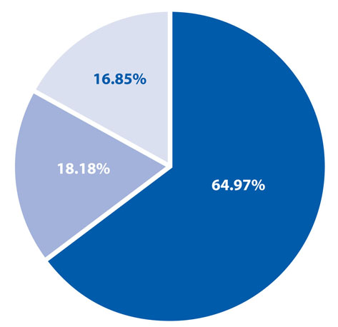 Revenues pie graph