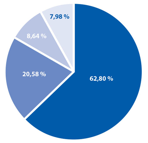 Revenues pie graph