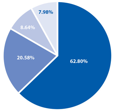 Revenues pie graph