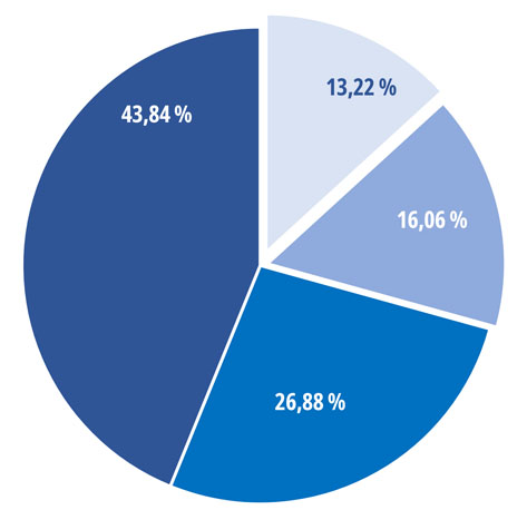 Revenues pie graph