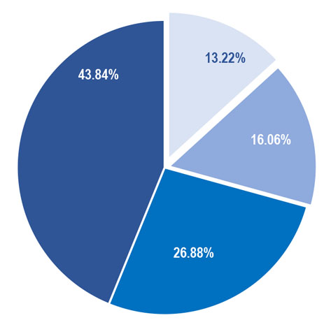 Revenues pie graph